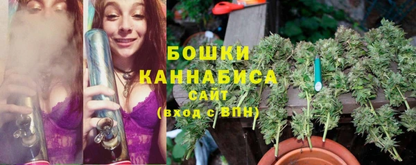 стафф Балахна