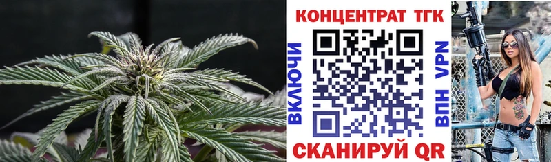 ТГК концентрат  Белово 